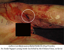 Ngaba Killed Protester
